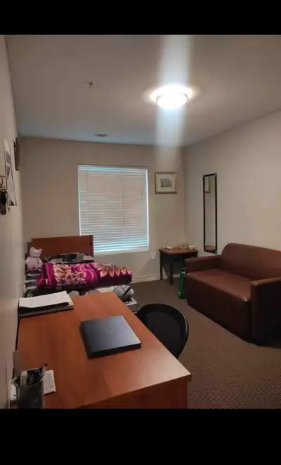 Accommodation Available in Kitchener (Room on Rent)