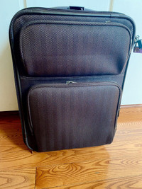 Carry-on luggage-Alfred Sung