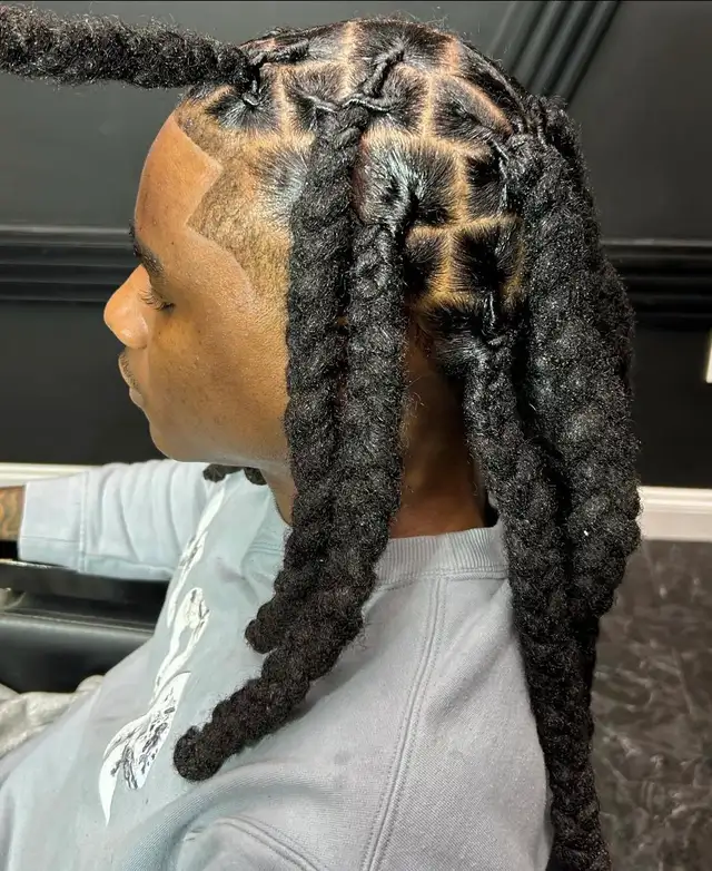 Braids and Locs602765533412730885