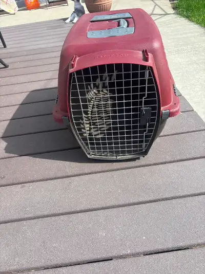 Dog crate, View more