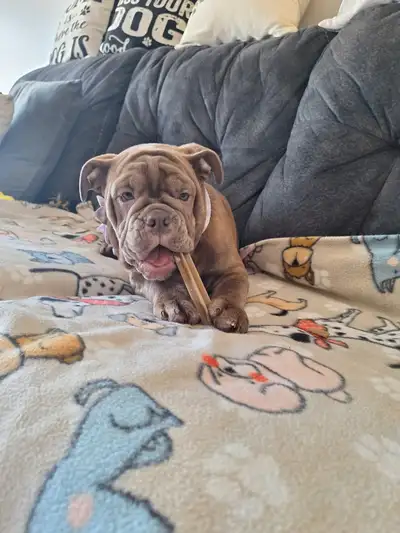 SOLD OUT!, View more