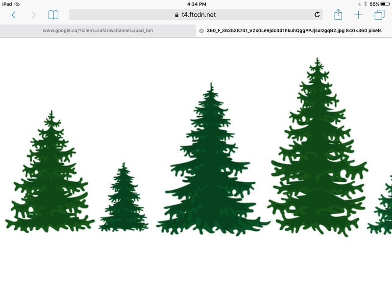 Spruce trees for sale Plants, Fertilizer & Soil Winnipeg Kijiji