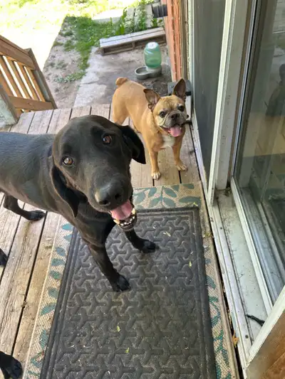 rehome together , View more
