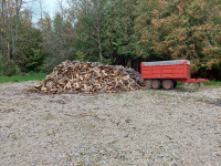 Seasoned Firewood for Sale