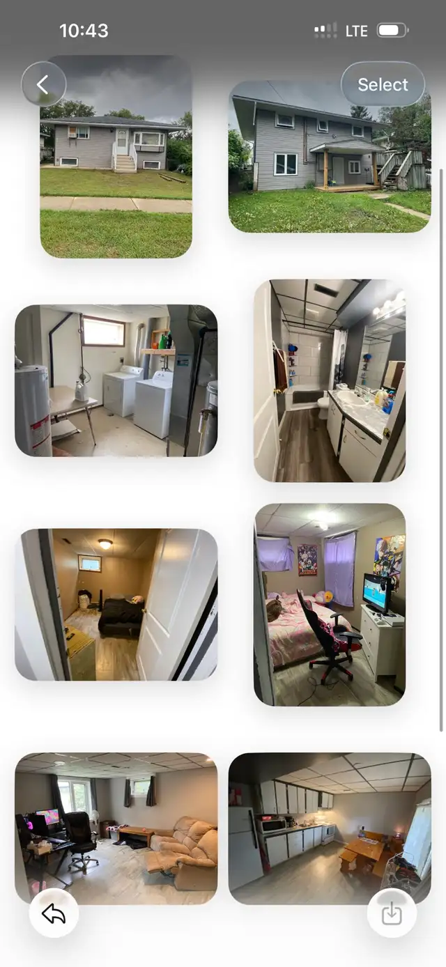 Basement Suite (Walk-Out) Available Immediately