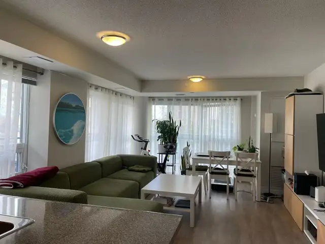Professional Hause & Condo Cleaning