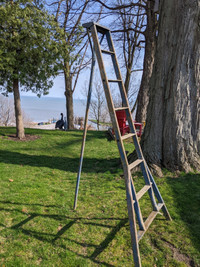 Orchard ladder 