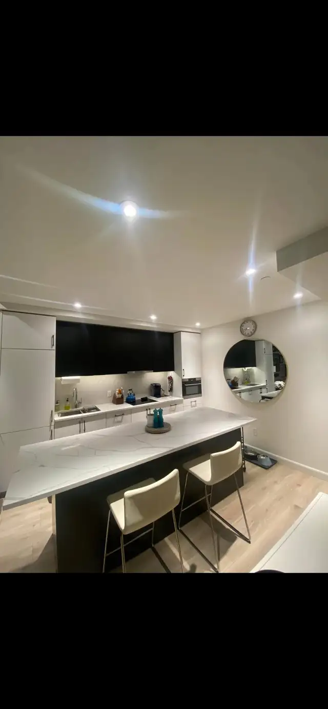 Professional Cleaning Services599597930975088646