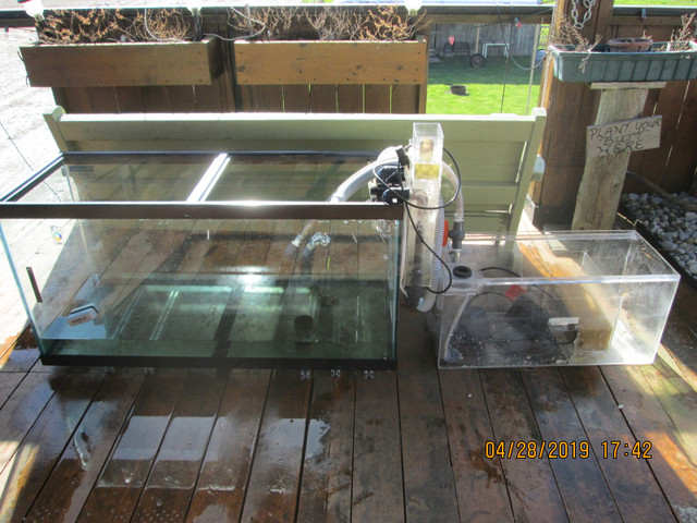 Salt water tanks and chaetomorpha for sale in Fish for Rehoming in Leamington - Image 2