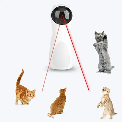 Laser Light Cat Toy, View more