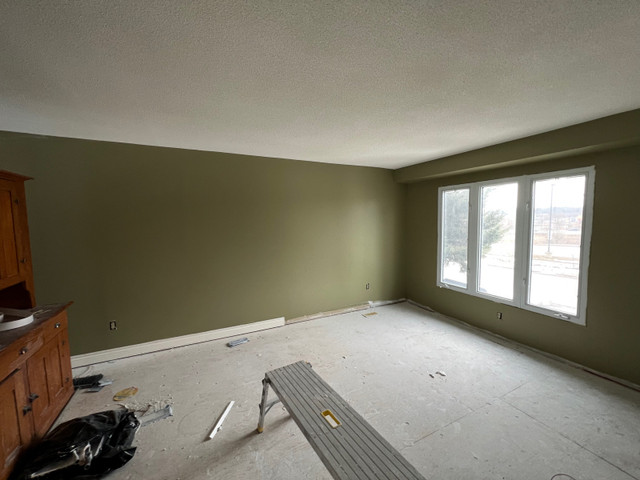 Drywall, Ceiling Repair, Water Damage, Drywall Repair dans Planchers et murs  à Ville de Toronto - Image 3