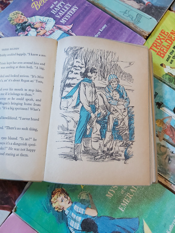 Trixie Belden books collection: some vintage books in Children & Young Adult in Hamilton - Image 3