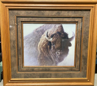 Framed Bison print