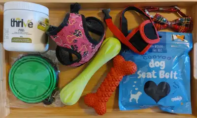 Dog toys, harness, muzzle, seatbelt and accessories (set of 8), View more