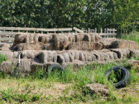 Compost hay