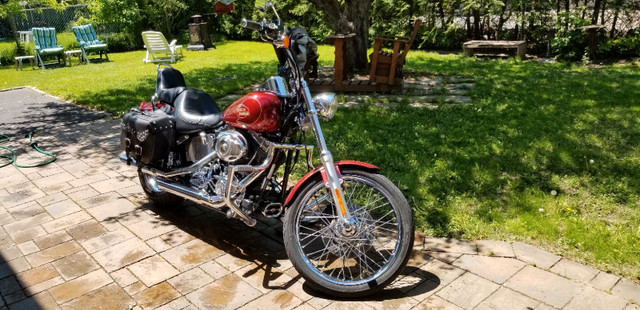 Harley-Davidson softail custom 2009 dans Autre  à Longueuil/Rive Sud - Image 3