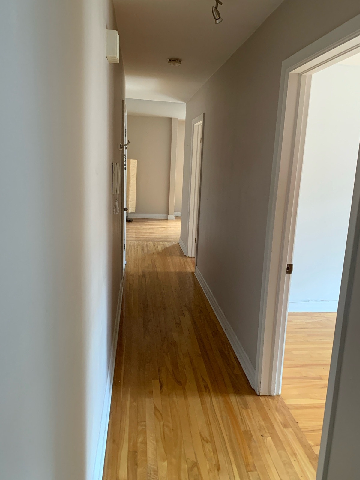Beau 4 ½  ⭐ lumineux ⭐ 2 balcons — photo 3