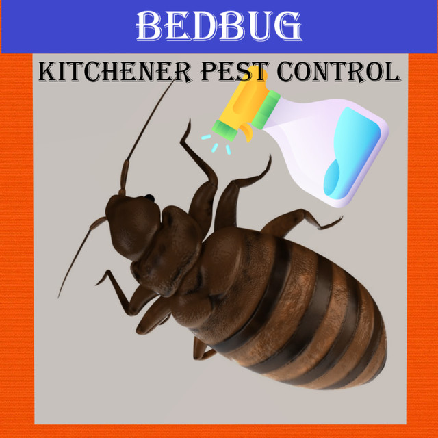Products, Bedbug Control, Insect Pest Control 647-354-2182 in Other in Hamilton