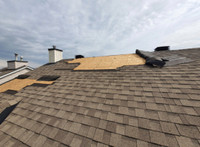 Roof Repair Service $100