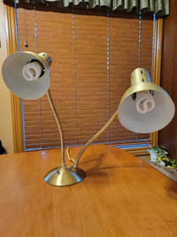 Vintage Gooseneck Double Light Desk Lamp