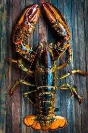 Looking to get hired on lobster fishing may June. Have 10 yrs experience. Sober and have own transpo...