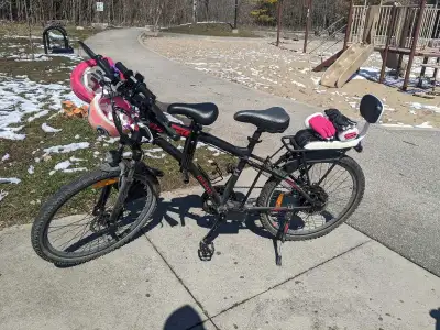 DJ Electric Mountain Bike – 750 W / 48 V – Used, View more