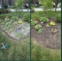 Weed removal, Yard Clean Ups, Tree Cut, Mulching, and Pruning City of Toronto Toronto (GTA) Preview