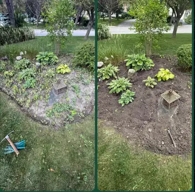 Weed removal, Yard Clean Ups, Tree Cut, Mulching, and Pruning, View more