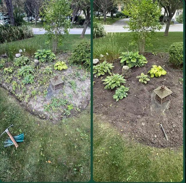 Weed removal, Yard Clean Ups, Tree Cut, Mulching, and Pruning in Snow Removal & Property Maintenance in City of Toronto - Image 2