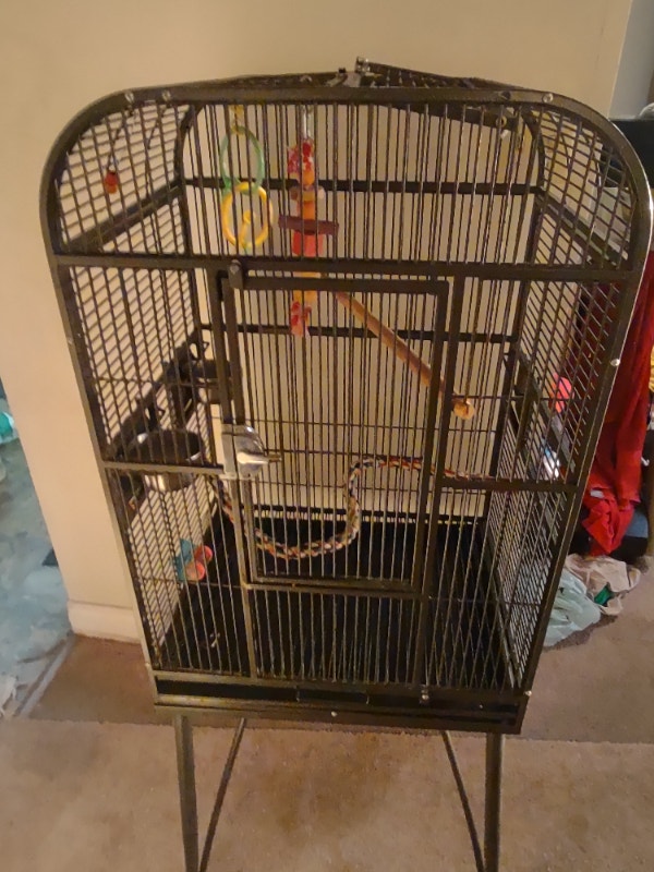 Large Cage for Birds available for sale Birds for Rehoming