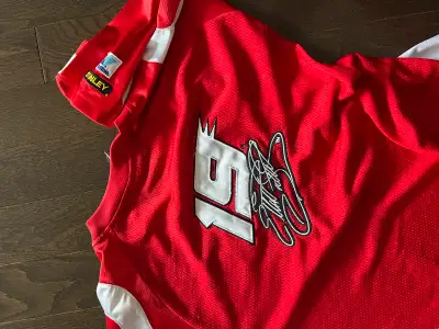 ELLIOTT SADLER Nascar Shirt with Sponsor Logos, View more