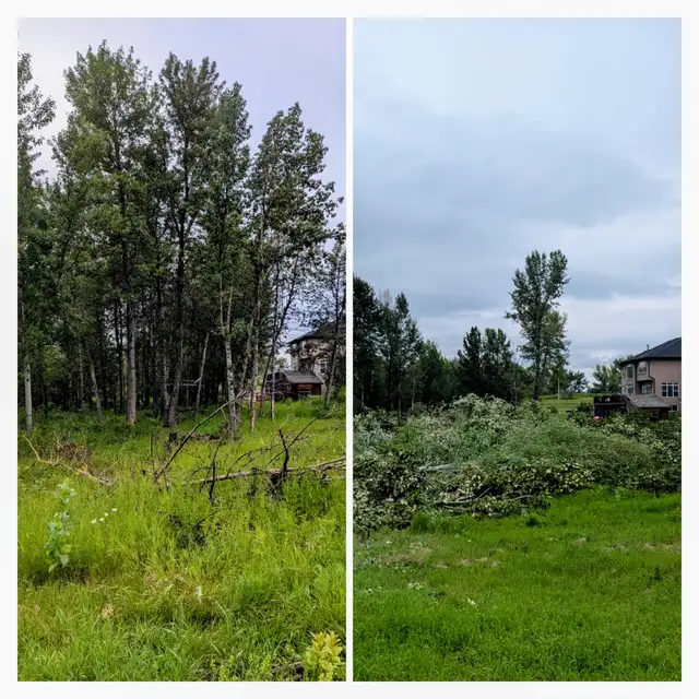 Winter Land Clearing64840206995586121