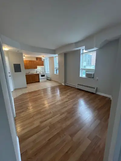 - clean and quite historical building - NOT a party building! - first and last required - credit and...
