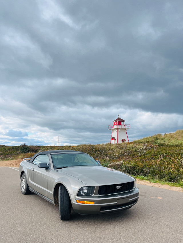 Ford Mustang  in Cars & Trucks in Charlottetown