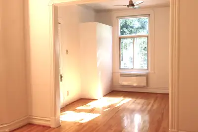 4 1/2 , plateau Mt-Royal, 1 425 $ libre maintenant, rue Messier ( Rachel) , en très bon état, planch...