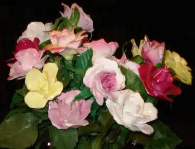 Vintage China Roses, View more