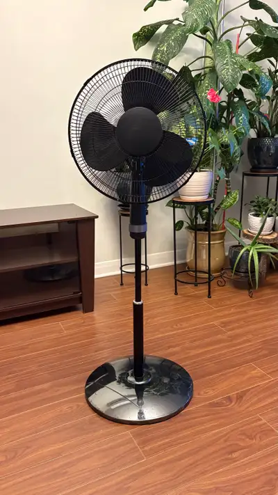 Pedestal Fan with solid base, View more