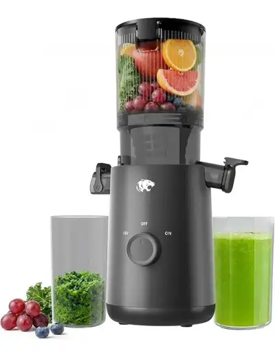 Juicer Machines, Cold Press Juicer with 5.3" Extra Large Feed Chute & Powerful AC Motor, Fits Whole...