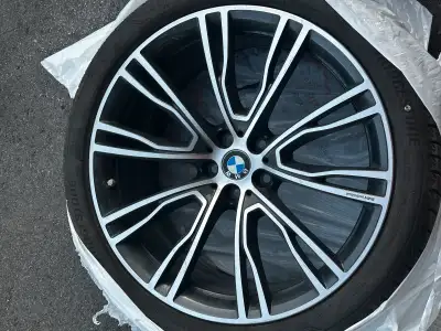 I am selling these BMW rims currently were used on a 2020 BMW X3. Rims are in good condition, they a...
