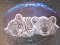 mounted puzzle #11 - Sleeping Cubs