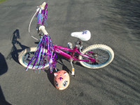 Girl's Bike  (Kentville Area)