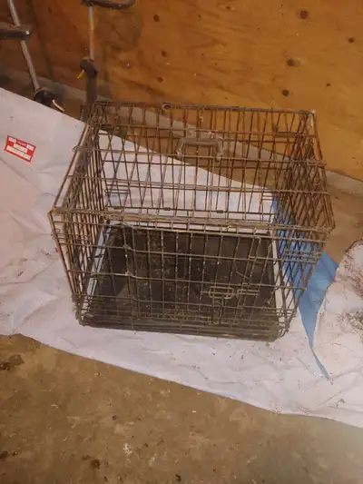 Cage for animals, View more
