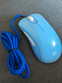 Modded ZOWIE EC2-B Mouse For Esports DIVINA Edition Blue