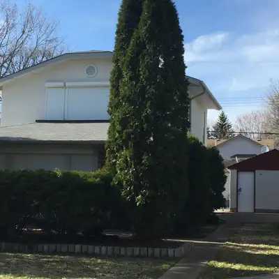 Beautiful Fort Richmond Rental
