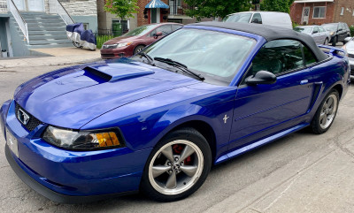 Mustang 2003 