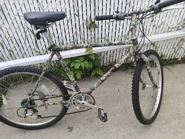 My bike full serviced 20.5 inch Need some small repairs but stil in Mountain in Edmonton - Image 5