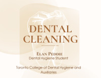 Dental Cleaning in May
