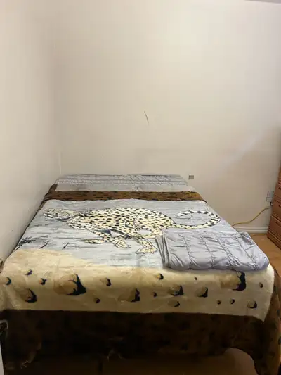 Furnish 1 bedroom with washroom and shared kitchen, View more