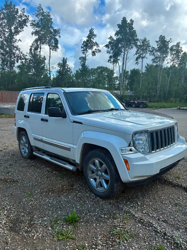 2010 JEEP LIBERTY554758077678899201
