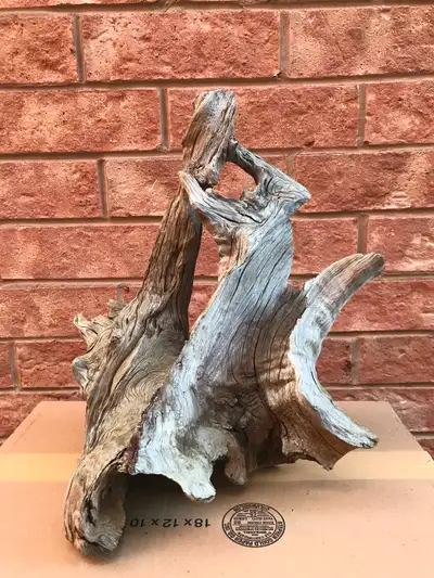 Driftwood, View more